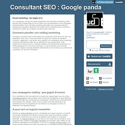 Consultant SEO : Google panda