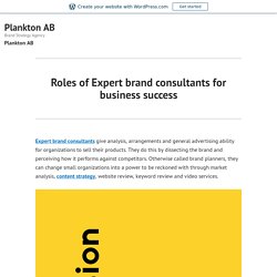 Roles of Expert brand consultants for business success – Plankton AB