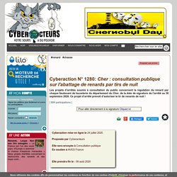 Cyberaction N° 1280: Cher : consultation publique sur l'abattage de renards par tirs de nuit