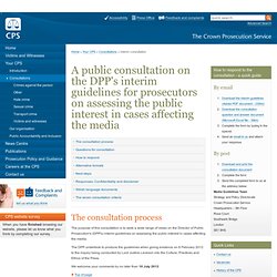 CPS Consultation : Media Guidelines