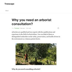 Why you need an arborist consultation?