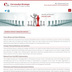 Business Strategy Consulting Services and Initiatives