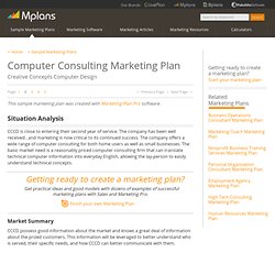 Computer Consulting Sample Marketing Plan - Situation Analysis