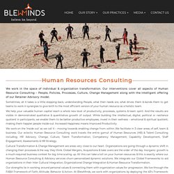 Blew Minds - Human Resources Consulting Organization