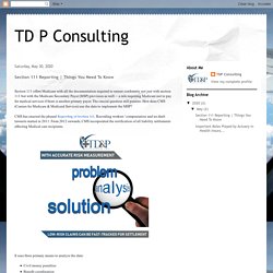 TD P Consulting: Section 111 Reporting