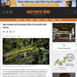How Growing and Consuming Coffee Can Actually Help ForestsDaily Coffee News by Roast Magazine