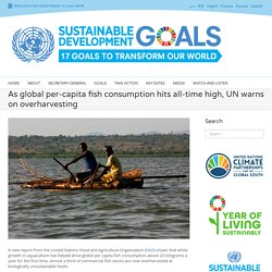 As global per-capita fish consumption hits all-time high, UN warns on overharvesting