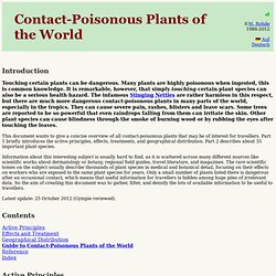 Contact-Poisonous Plants of the World