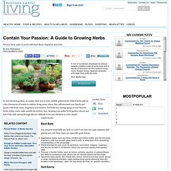 Contain Your Passion: A Guide to Growing Herbs