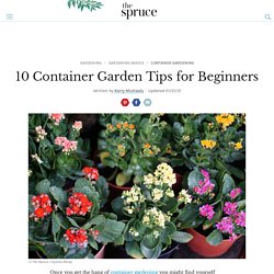10 Container Garden Tips For Beginners