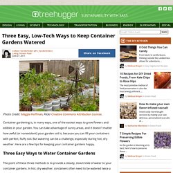Three Easy, Low-Tech Ways to Keep Container Gardens Watered