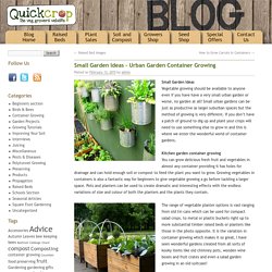 Small Garden Ideas - Urban Garden Container Growing