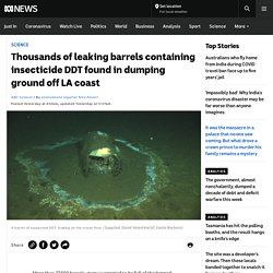 Thousands of leaking barrels containing insecticide DDT found in dumping ground off LA coast