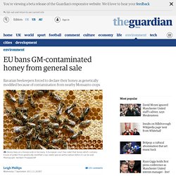 EU bans GM-contaminated honey from general sale