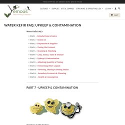 Water Kefir FAQ: Upkeep & Contamination