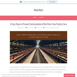 4 Easy Steps to Prevent Contamination of Bird Flu in Your Poultry Farm – Nouriture