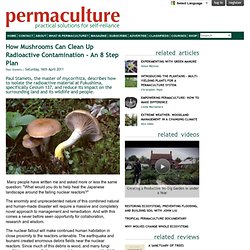 How Mushrooms Can Clean Up Radioactive Contamination - An 8 Step Plan