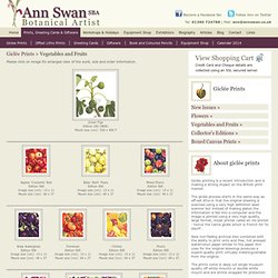 ANN SWAN contemporary botanical art, coloured pencil artist, limited edition giclee and offset litho prints, greetings cards and workshops. For home, hotel and restaurant interior design and decor.