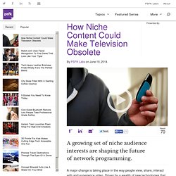 How Niche Content Could Make Television Obsolete