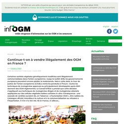 3 août 2021 Continue-t-on à vendre illégalement des OGM en France ?