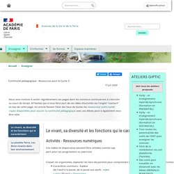 Continuité pédagogique - Ressources pour le Cycle 3