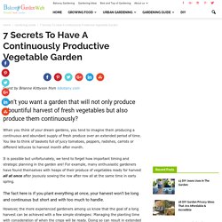 7 Secrets To Have A Continuously Productive Vegetable Garden