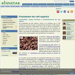 Características, efectos, beneficios y contraindicaciones del café orgánico