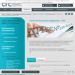 Contrat type : Centre de Formation d’Apprentis (CFA)