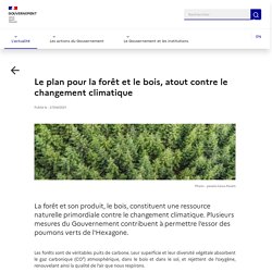 GOUVERNEMENT_FR 27/04/21 Le plan pour la forêt et le bois, atout contre le changement climatique