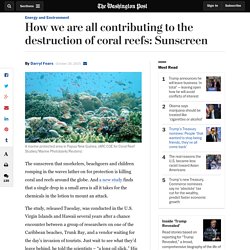 How we are all contributing to the destruction of coral reefs: Sunscreen