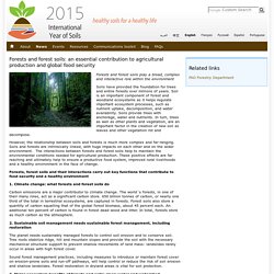 Forests and forest soils: an essential contribution to agricultural production and global food security  