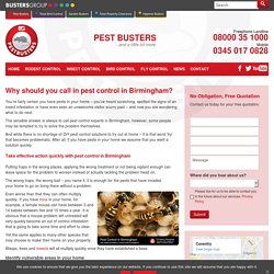 Why should you get in touch pest services in Birmingham?