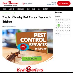Pest Control Brisbane Ipswich, QLD