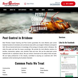 Pest control Brisbane