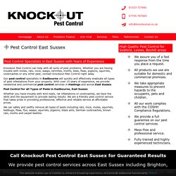 Pest Control East Sussex - Eastbourne, Hasings, Lewes, Seaford, Bexhill
