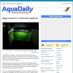 Algae control in a freshwater aquarium