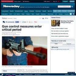 Gun control measures enter critical period