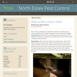 Ways to Mice control, Essex - North Essex Pest Control : powered by Doodlekit