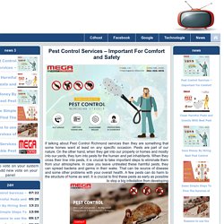 Pest Control Services – Important For Comfort and Safety