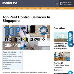 Top Pest Control Services in Singapore