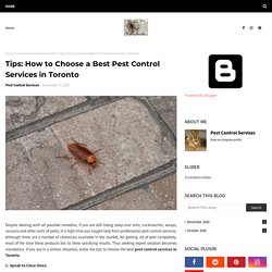 Tips: How to Choose a Best Pest Control Services in Toronto