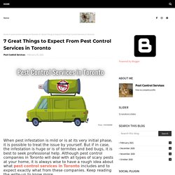 7 Great Things to Expect From Pest Control Services in Toronto