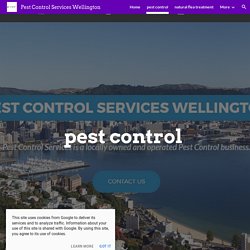 Pest Control Services Wellington - pest control