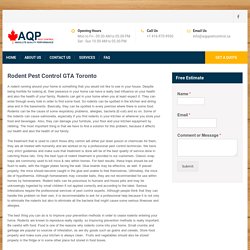 Rodent Pest Control GTA Toronto - Rodent Control Exterminators - APQ PEST CONTROL
