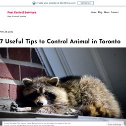 7 Useful Tips to Control Animal in Toronto