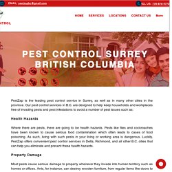 Pest Control-Surrey-Vancouver-Abbotsford