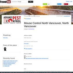 Mouse Control North Vancouver