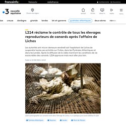 L214 réclame le contrôle de tous les élevages reproducteurs de canards après l'affaire de Lichos