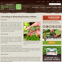 Controlling or Eliminating Powdery Mildew