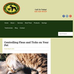 Controlling Fleas and Ticks on Your Pet